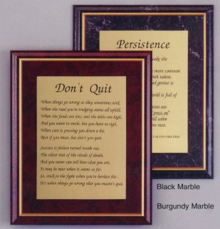 plq2.jpg (22976 bytes)