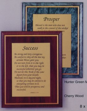 plq3.jpg (23681 bytes)